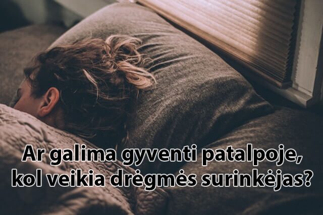 Ar_galima_gyventi_patalpoje__kol_veikia_dregmes_surinkejas
