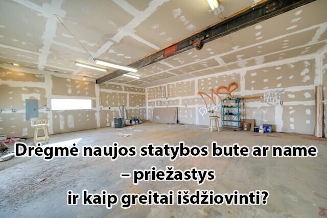Dregme_naujos_statybos_bute_ar_name__priezastys_ir_kaip_greitai_isdziovinti_patalpas
