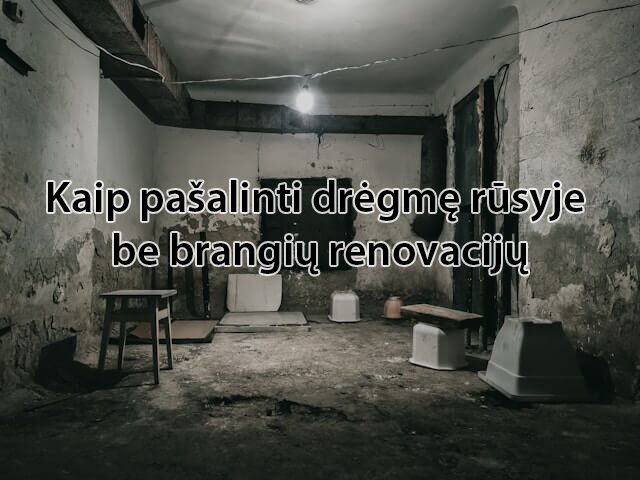 Kaip_pasalinti_dregme_rusyje_be_brangiu_renovaciju