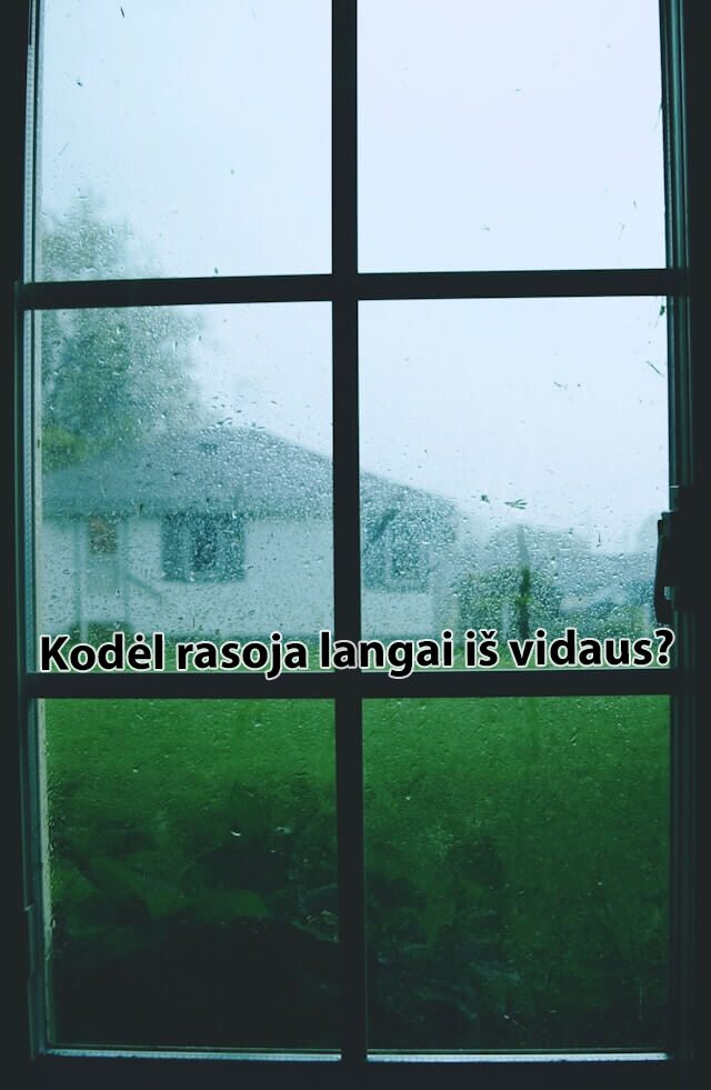 Kodel_rasoja_langai_is_vidau_ir_kaip_spresti_sia_problema