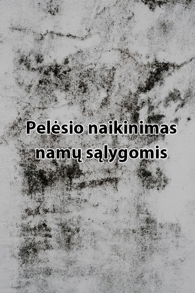 pelesio naikinimas namu salygomis.jpg