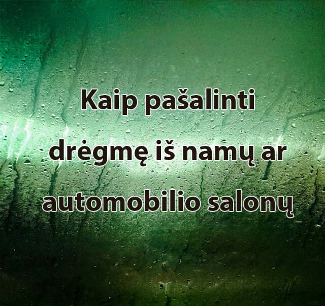 kaip pasalinti dregme is namu rusio ar automobilio salono.jpg