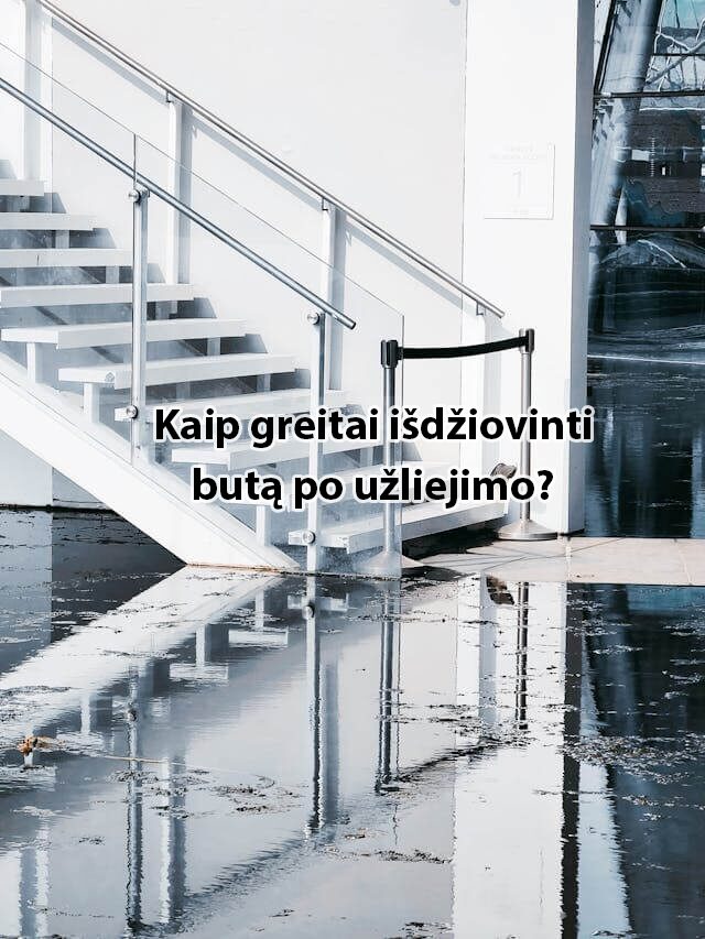 kaip_greitai_isdziovinti_buta_po_uzliejimo