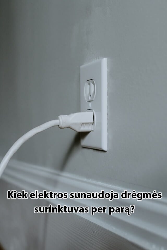 kiek elektros sunaudoja dregmes surinkejas per para
