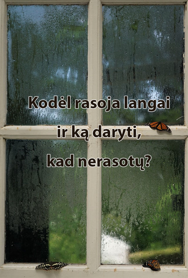 kodel_rasoja_langai_ir_ka_daryti_kad_jie_nerasotu__1_.jpg