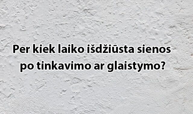 per_kiek_laiko_isdziusta_sienos_po_tinkavimo_ar_glaistymo